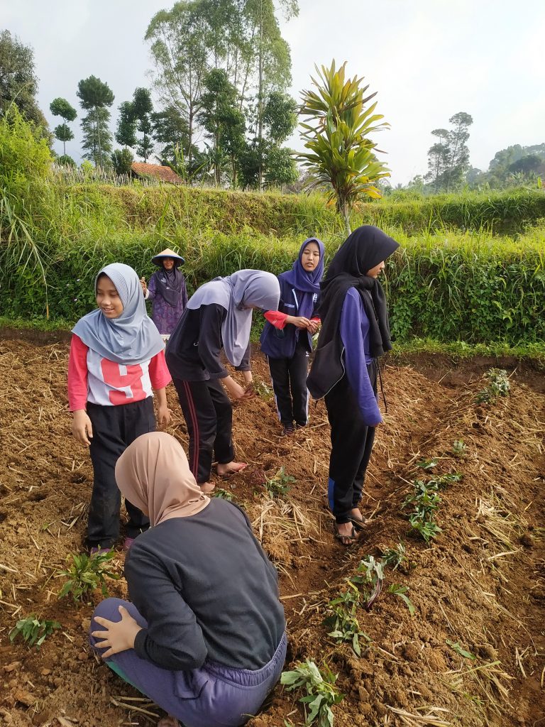 Spiritual Work Camp