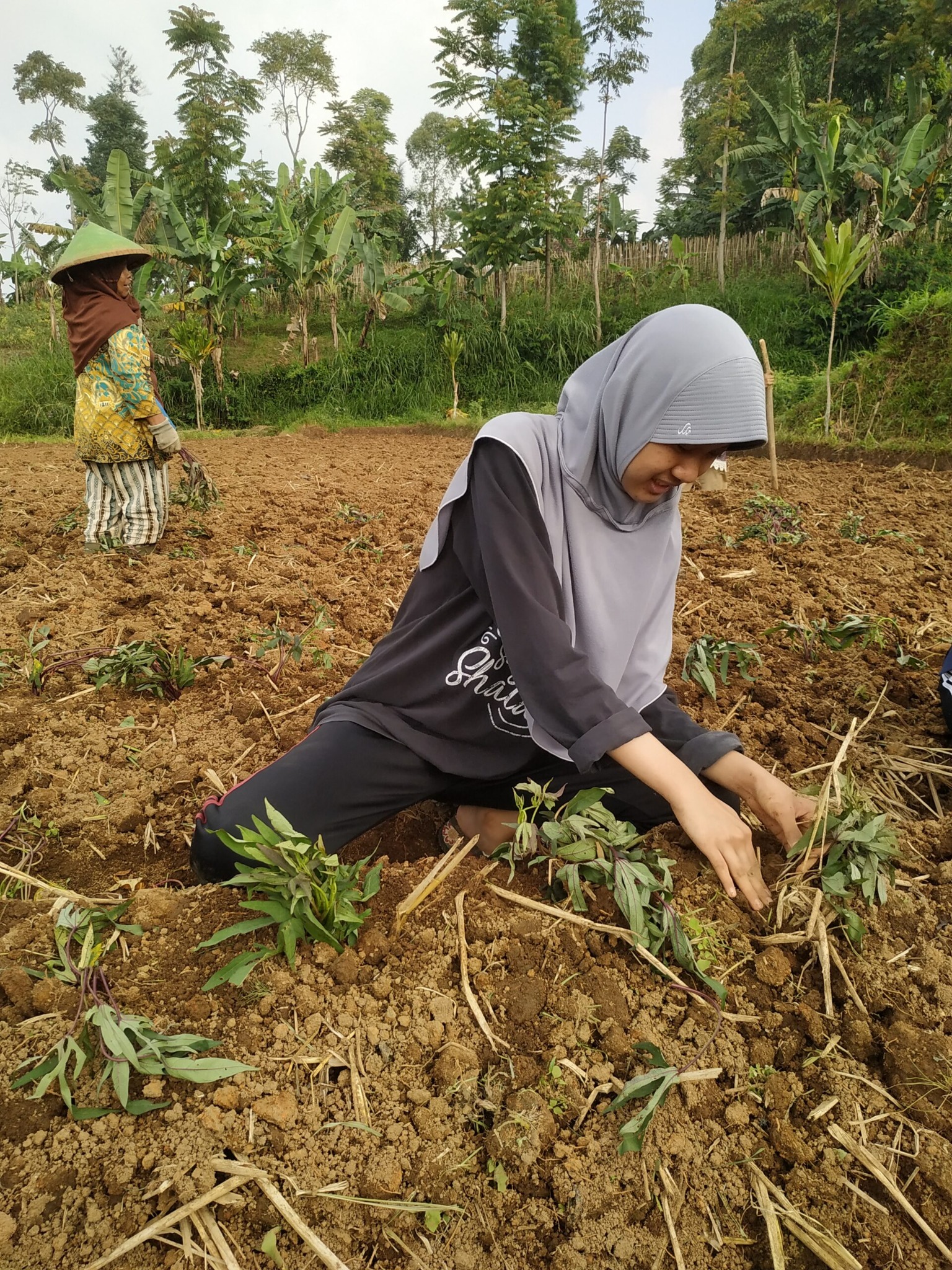 Galeri kegiatan SMA Plus Muthahhari