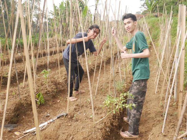 Galeri kegiatan SMA Plus Muthahhari