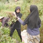 Galeri kegiatan SMA Plus Muthahhari